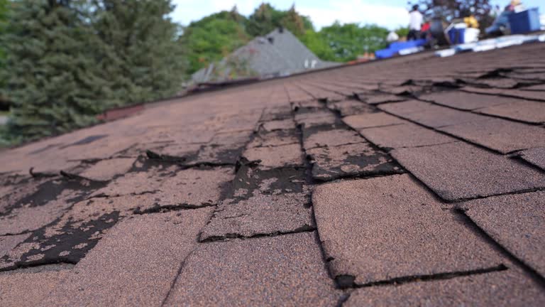 Best Storm Damage Roof Repair  in Tracy, CA